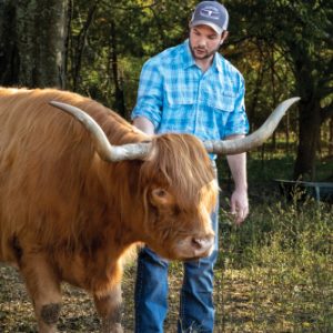 Davis Edwards combs the long hair on one of his Scottish Highlands cattle, Marylin, a range cube treat at his farm in Brandon. 
©Journal Communications/Nathan Lambrecht