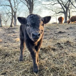 WhatsApp Image 2025-06-24 at 10.26.23_67e4ff3a