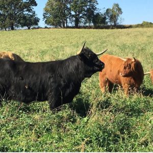 WhatsApp Image 2025-06-27 at 06.52.55_2b4c12ba